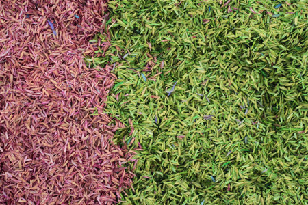 Husk on a colorful background and texture