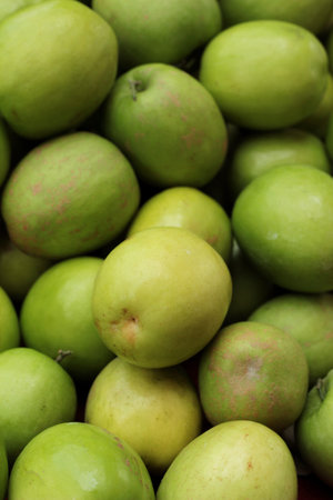 Green apples is delicious heaped a lotの写真素材