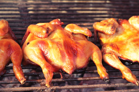 Grilled chicken on the stoveの写真素材