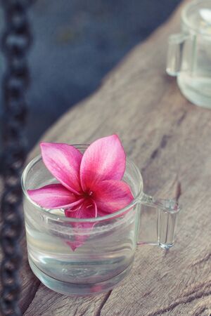 Plumeria flower with beautiful light on rockの写真素材
