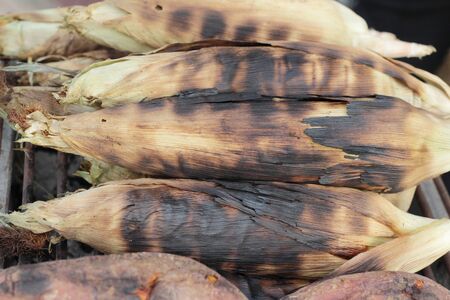 Sweet corn cobs on the grill deliciousの写真素材