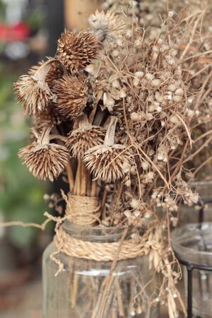 Dry flowers at beautiful in the vaseの写真素材