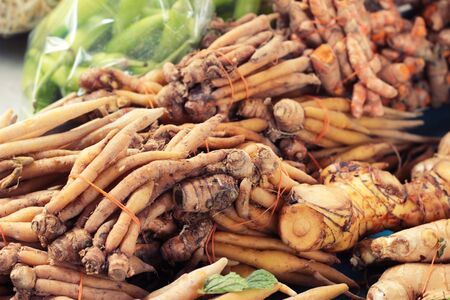 finger root and ginger in the marketの写真素材
