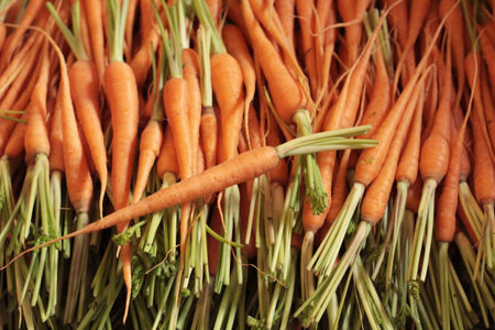 Fresh baby carrots for cooking