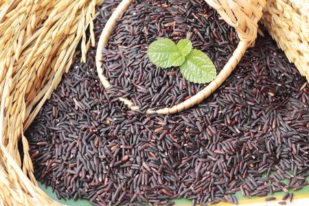 Black jasmine rice or organic riceberry riceの写真素材