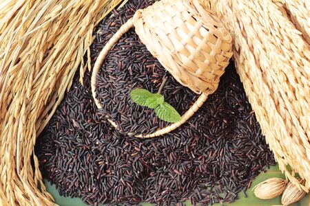 Black jasmine rice or organic riceberry riceの写真素材