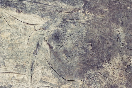 Old wooden beauty wall background and textureの写真素材