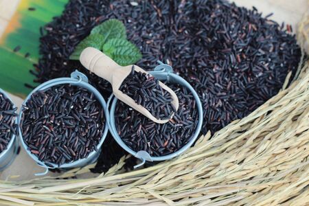 Black jasmine rice or organic riceberry riceの写真素材