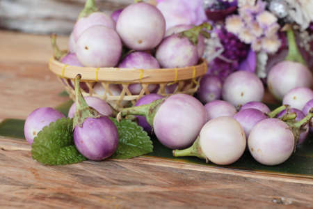 Fresh eggplant purple organicの写真素材