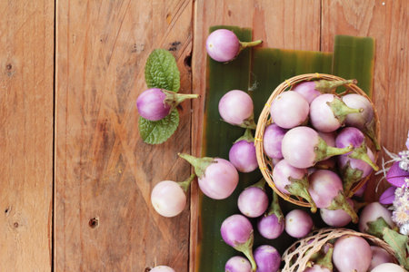 Fresh eggplant purple organicの写真素材