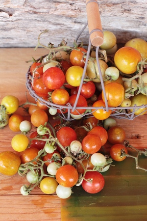 Fresh tomatoes for cooking on wood backgroundの写真素材