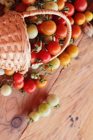 Fresh tomatoes for cooking on wood backgroundの写真素材
