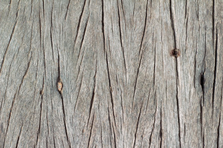Old wooden beauty wall background and texture