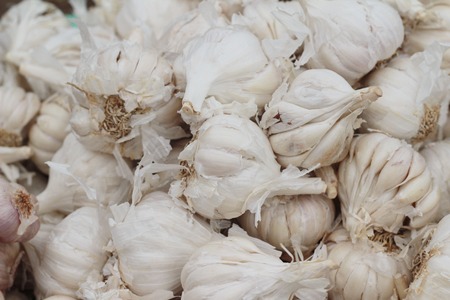 garlic in the marketの写真素材