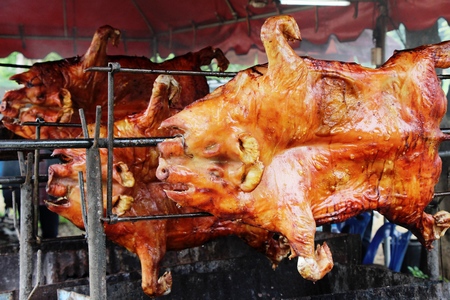 Barbecued suckling pig - roasted pig is tastyの写真素材