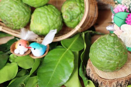 Fresh organic bergamot herb and lime leafの写真素材