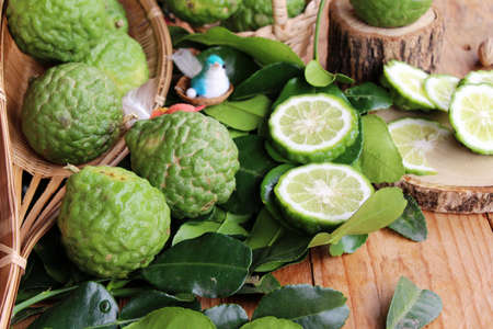 Fresh organic bergamot herb and lime leafの写真素材