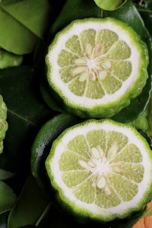 Fresh organic bergamot herb and lime leaf
