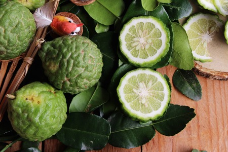 Fresh organic bergamot herb and lime leafの写真素材