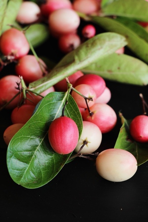 Karonda fruit is delicious on black backgroundの写真素材