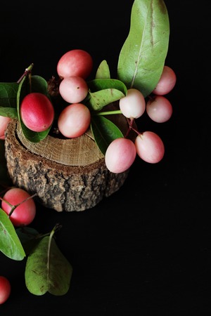 Karonda fruit is delicious on black backgroundの写真素材