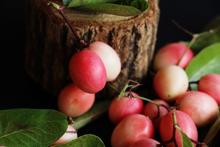 Karonda fruit is delicious on black backgroundの写真素材