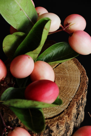 Karonda fruit is delicious on black backgroundの写真素材