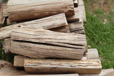 Pile of old firewood background with nature