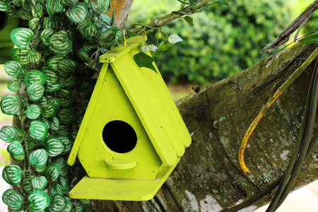 Wooden bird house with the natureの写真素材