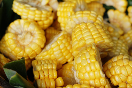 Corn cut into slices for the cooking