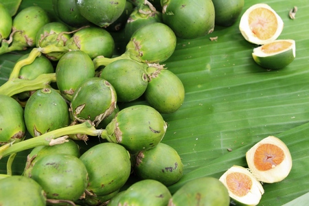 Betel parmの写真素材