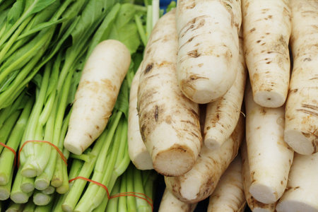 fresh radish in the marketの写真素材