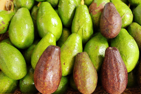 Fresh green avocado is delicious in market