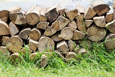 Pile of old firewood background with natureの写真素材