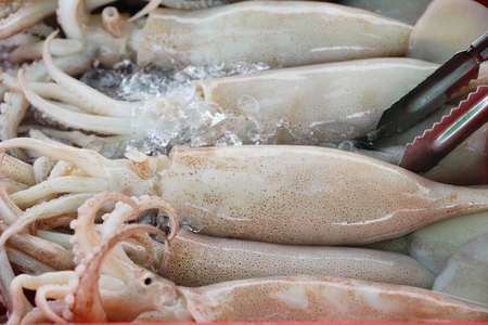 Fresh squid for cooking in the marketの写真素材