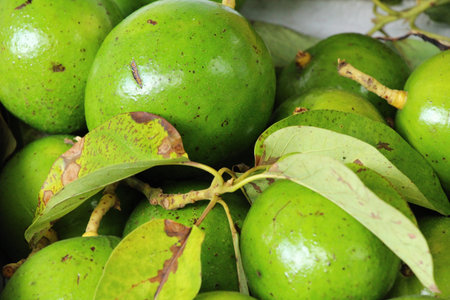 Fresh green avocado is delicious in market