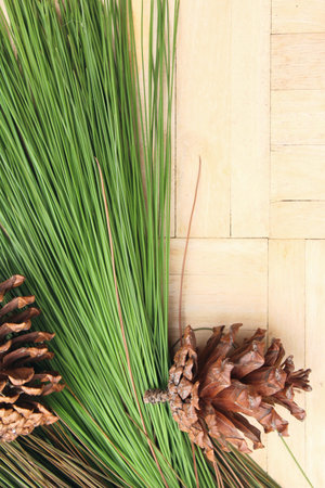 Pine cones and notepad on wood background