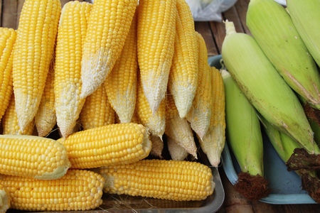 Fresh corn for cooking in the marketの写真素材