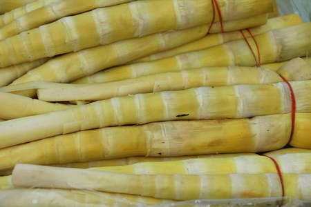 Sweet bamboo shoot for cooking at marketの写真素材