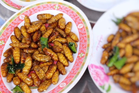 Fried silk worms delicious in street foodの写真素材