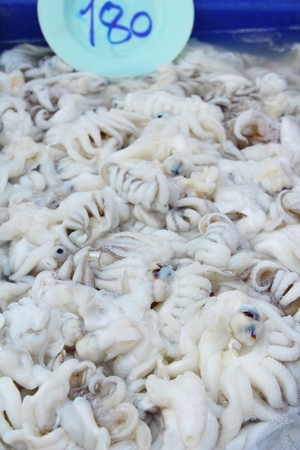 Fresh squid for cooking in the marketの写真素材