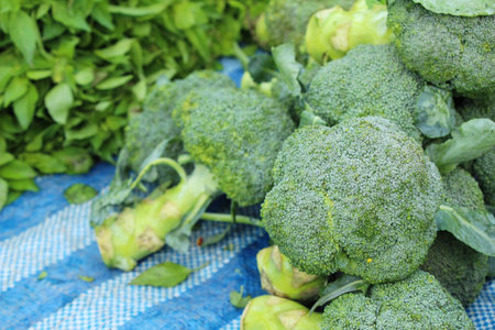 Broccoli vegetable for cooking in the market