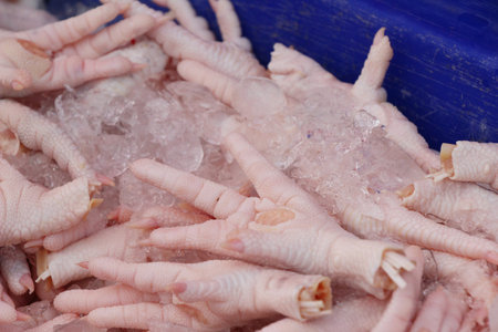 Fresh chicken for cooking in the marketの写真素材