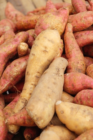 Fresh yam in the market for cookingの写真素材