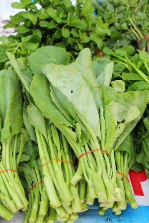 Fresh chinese kale in the marketの写真素材