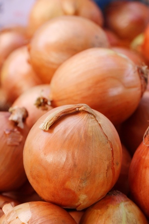 Onions for cooking at marketの写真素材