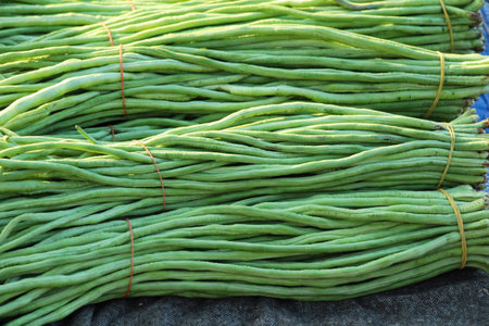 Long bean for cooking in the marketの写真素材