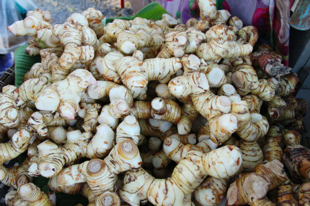Fresh galangal for cooking in the marketの写真素材