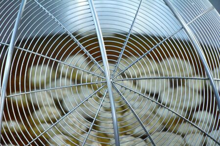 Fried meatballs is delicious at street foodの写真素材