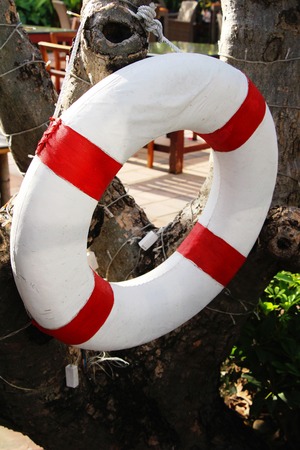 Ring buoy hang on tree with poolの写真素材